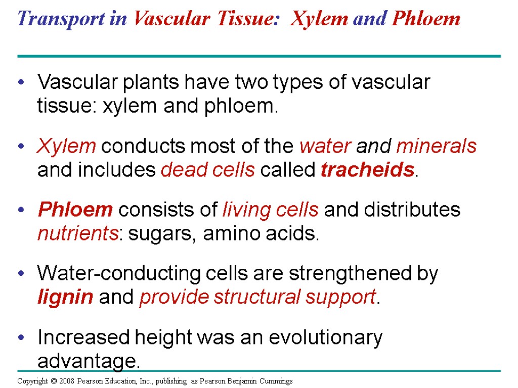 Transport in Vascular Tissue: Xylem and Phloem Vascular plants have two types of vascular